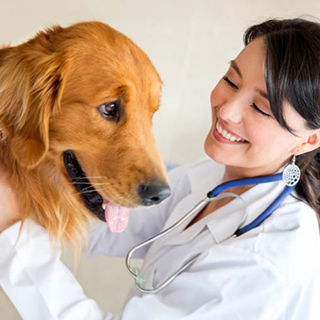 Klinik Hewan & Pet Shop