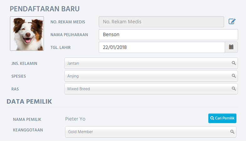 Profil pasien hewan